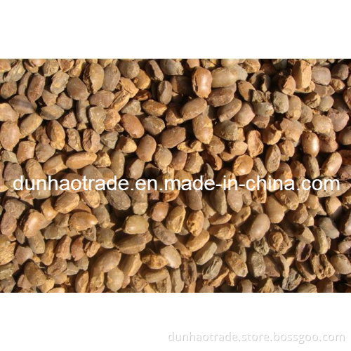 Light Burned Magnesia Slagging Ball/Magnesia Ball (DH-0006)